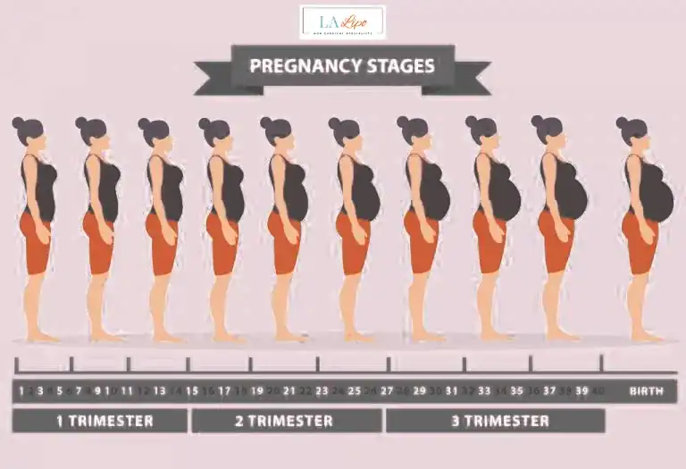 First Trimester (Weeks 1–12): Early Changes You Might Not Notice West Kilburn